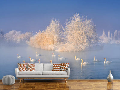 photo-wallpaper-swan-lake-xge