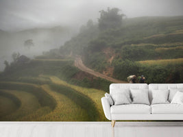 photo-wallpaper-fog