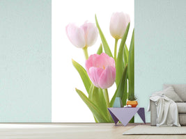 photo-wallpaper-the-tulips-trio