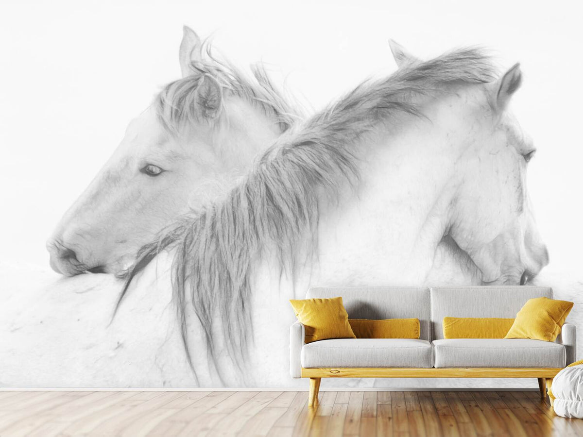 photo-wallpaper-horses