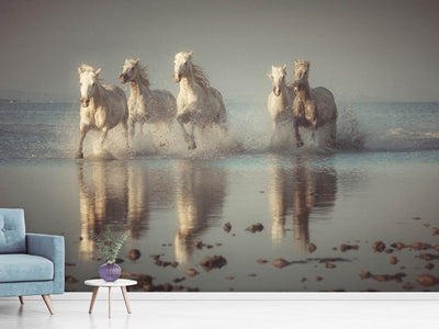 photo-wallpaper-camargue-horses-x