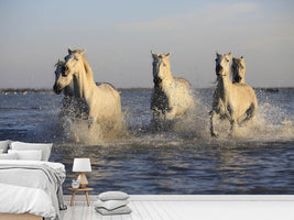 photo-wallpaper-horses-in-the-sea