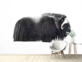 photo-wallpaper-muskox-xzp