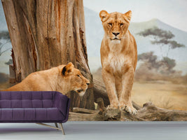 photo-wallpaper-lions-in-africa