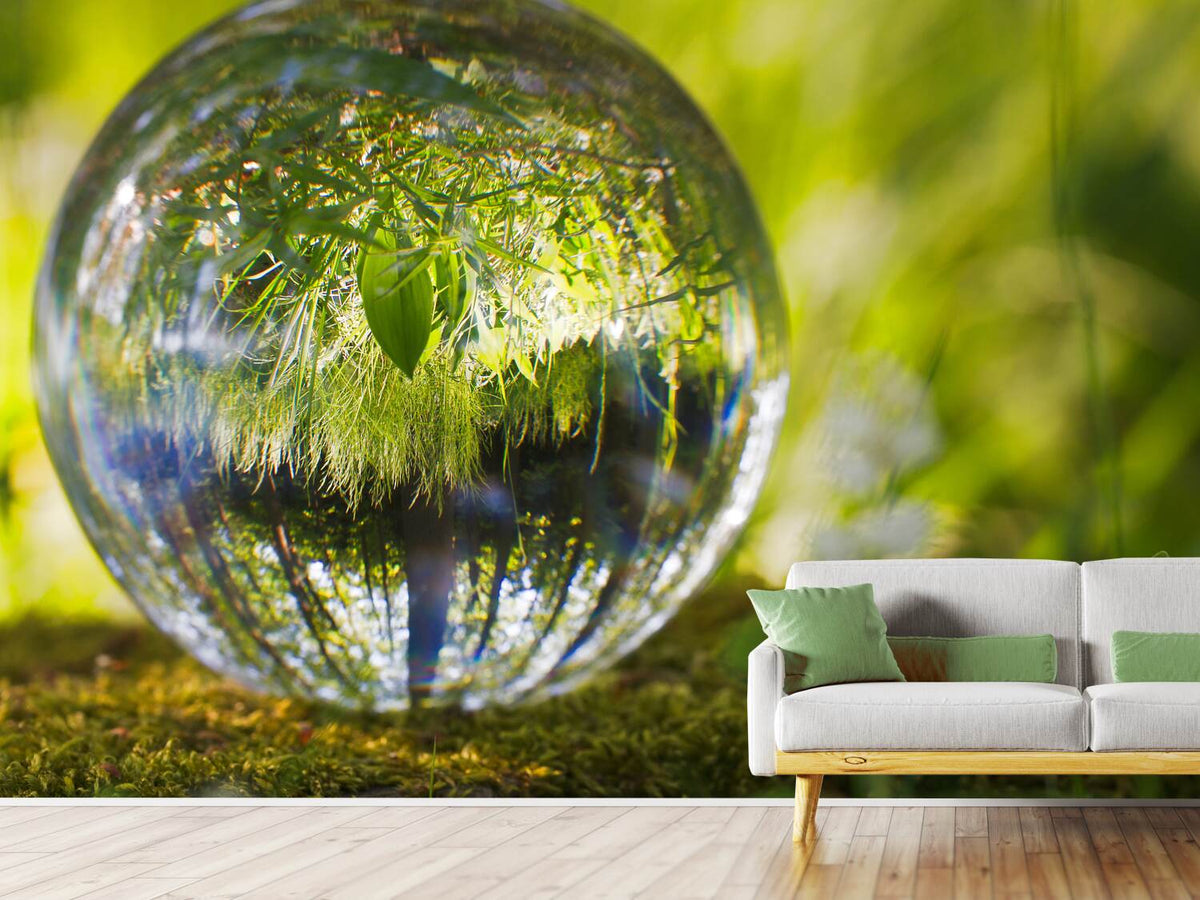 photo-wallpaper-nature-ball