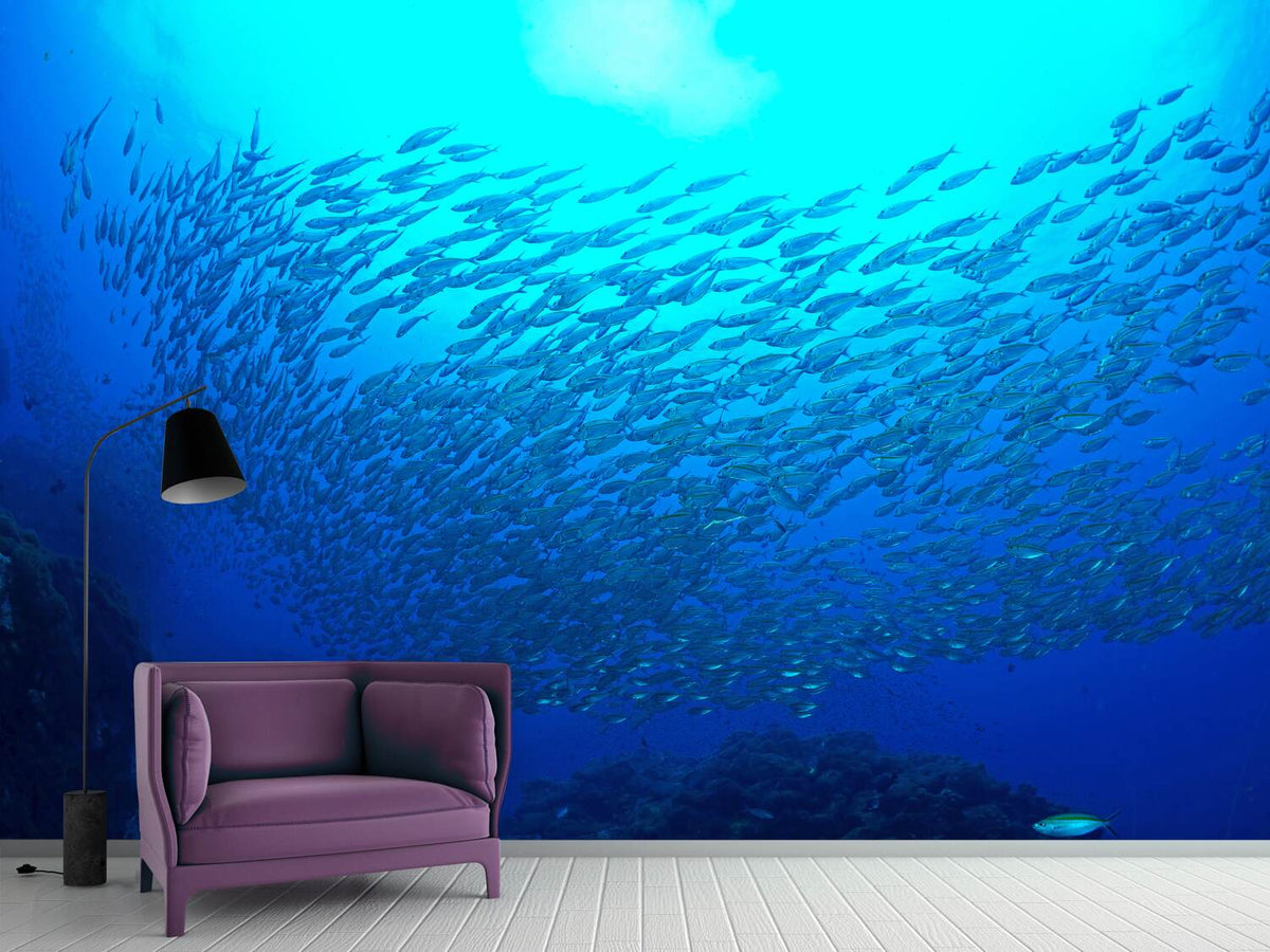 photo-wallpaper-fish-world