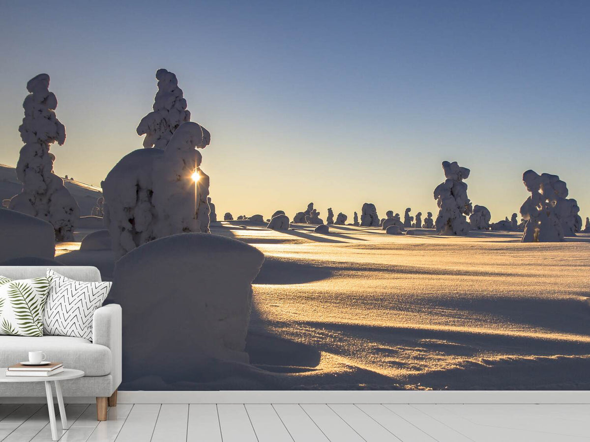 photo-wallpaper-in-lapland