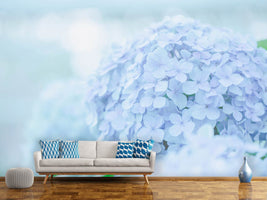 photo-wallpaper-the-hydrangea