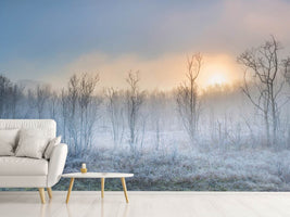 photo-wallpaper-a-touch-of-winter