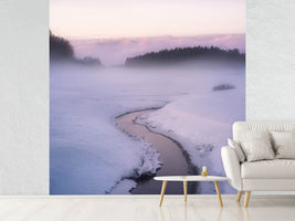 photo-wallpaper-winters-mystique