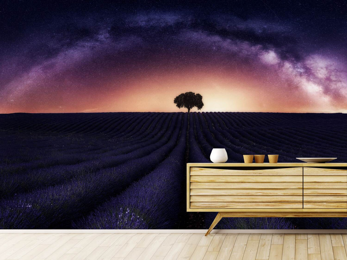 photo-wallpaper-my-lavander