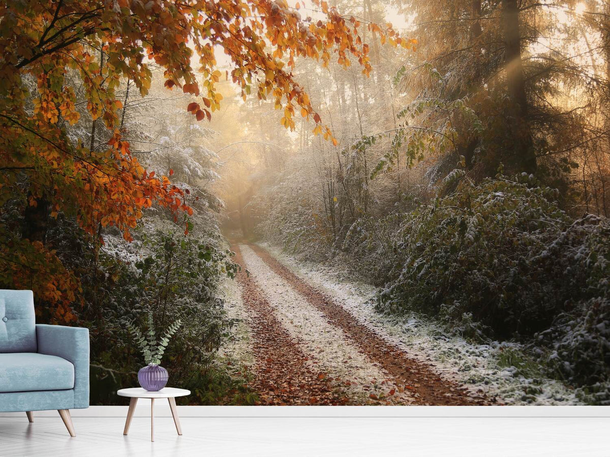 photo-wallpaper-frosty-fall-x