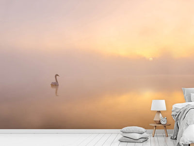 photo-wallpaper-misty-morning-xmy