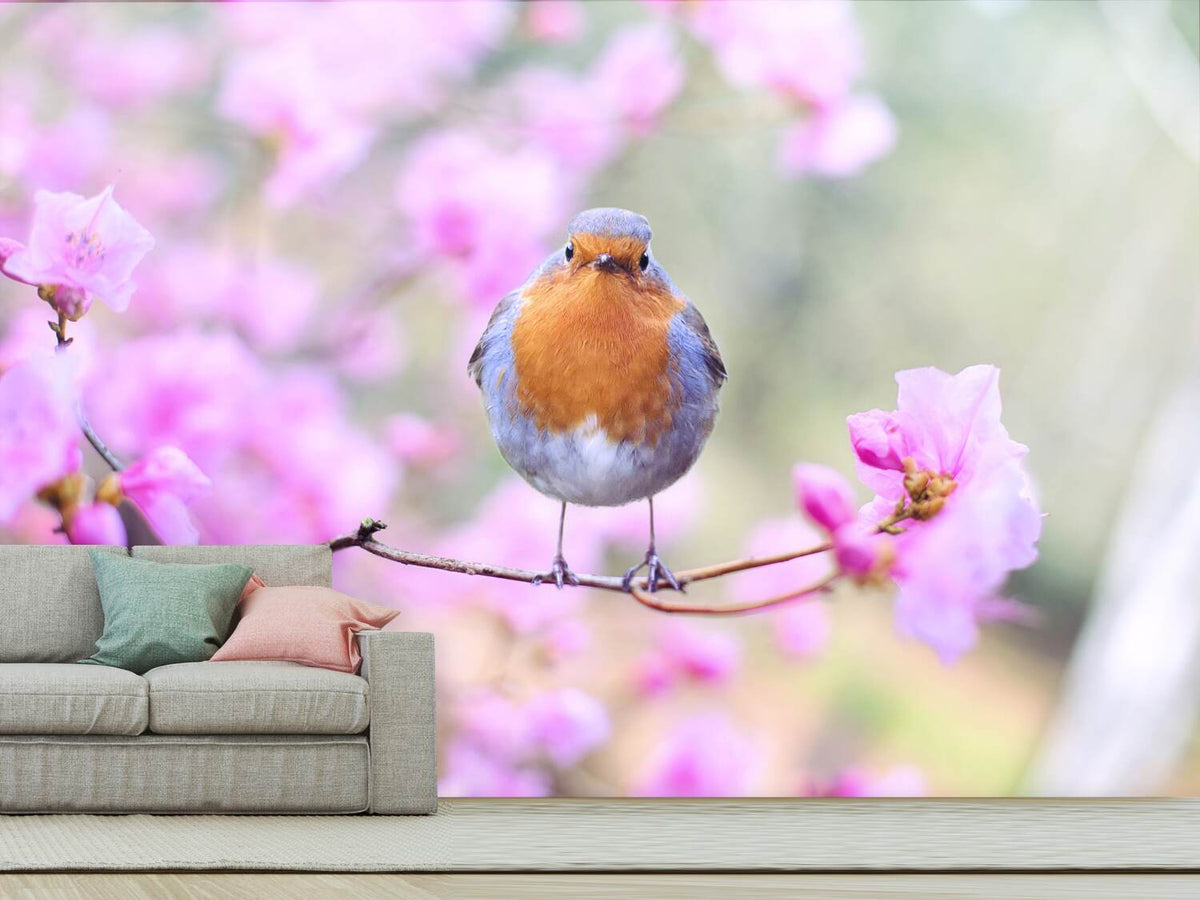 photo-wallpaper-spring-bird