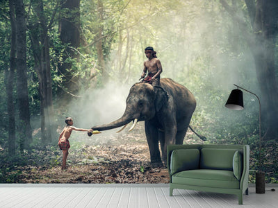 photo-wallpaper-the-elephant-at-work