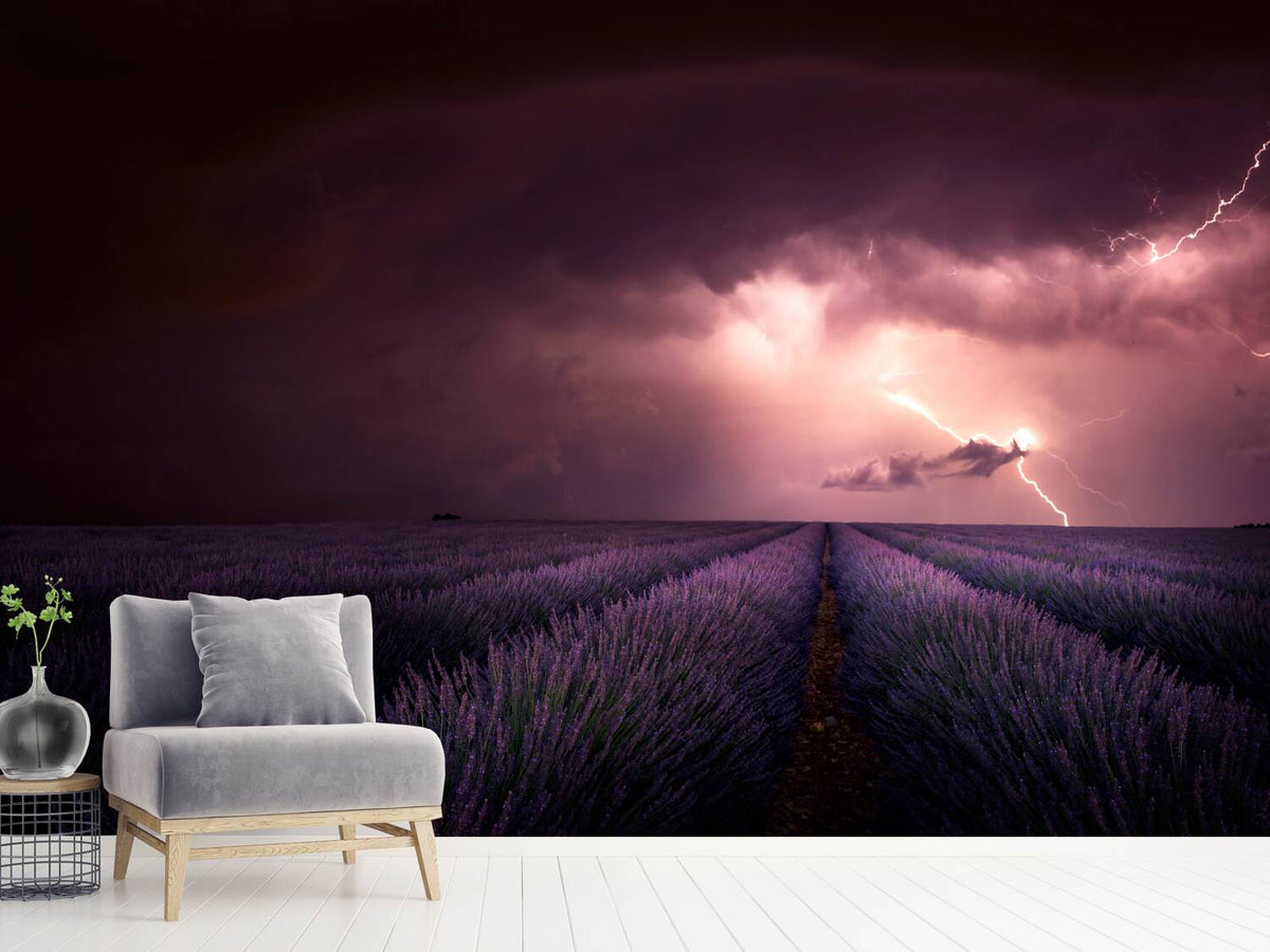 photo-wallpaper-lavender-fragrance