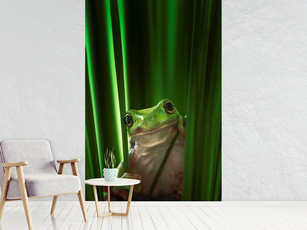 photo-wallpaper-green-frog