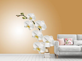 photo-wallpaper-white-orchids-xl