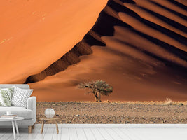 photo-wallpaper-the-dune-and-the-tree-x