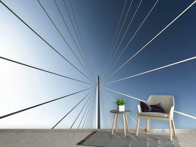 photo-wallpaper-calatrava-bridge-x