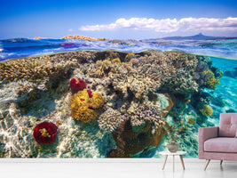 photo-wallpaper-mayotte-the-reef