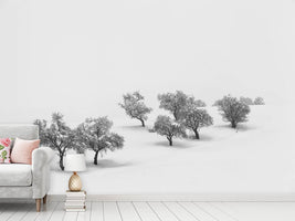 photo-wallpaper-white-carpet-x