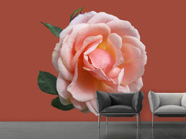 photo-wallpaper-rose-in-pink-xxl-ii