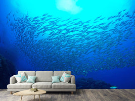 photo-wallpaper-fish-world