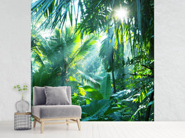 photo-wallpaper-in-tropical-forest