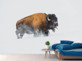 photo-wallpaper-bison-in-the-snow-x