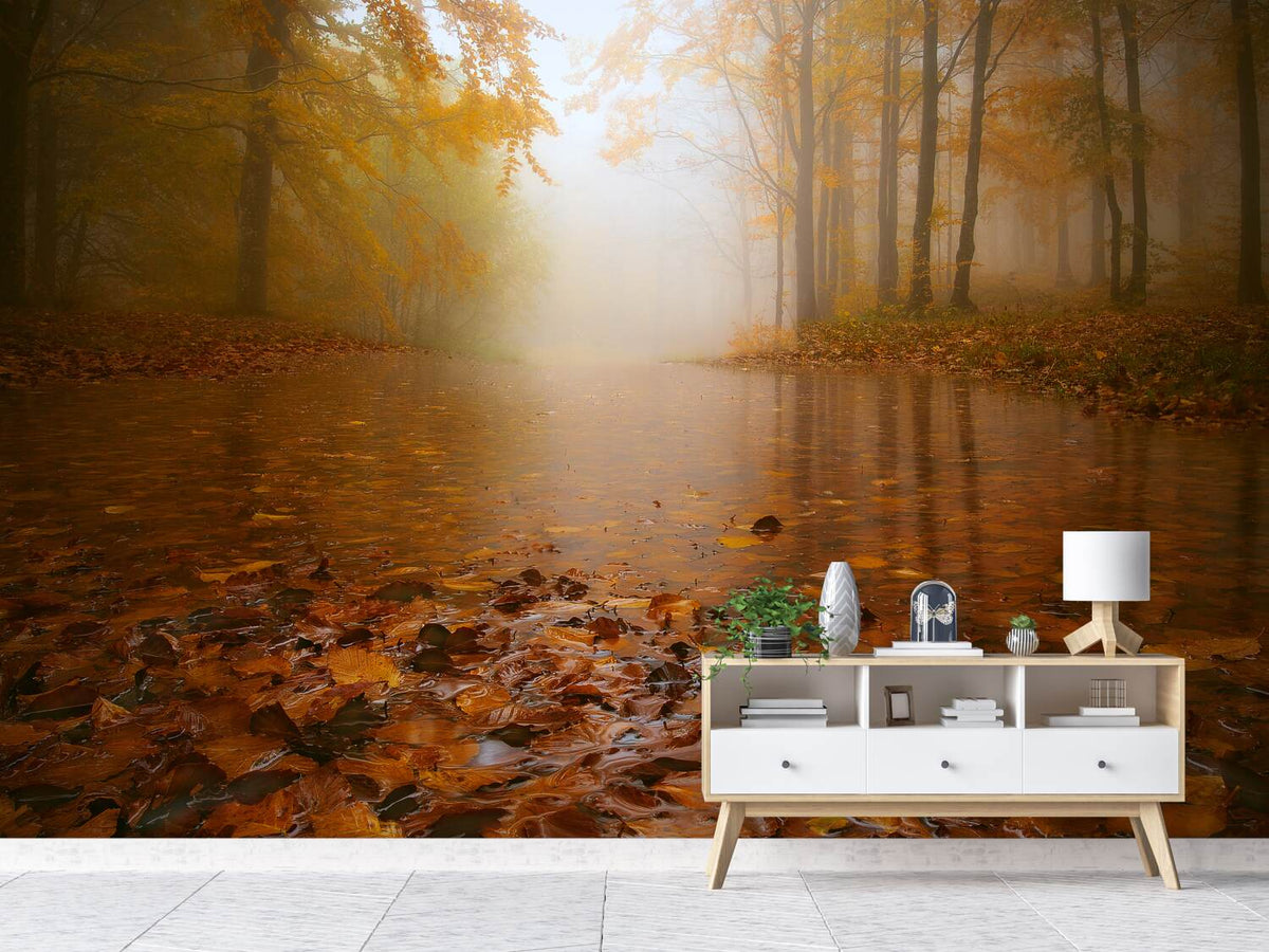 photo-wallpaper-autumn-flooding-x