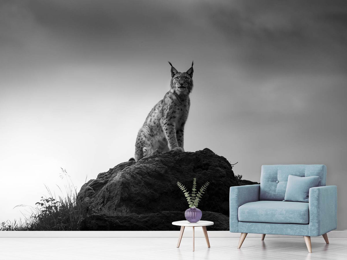 photo-wallpaper-lynx-drama-x