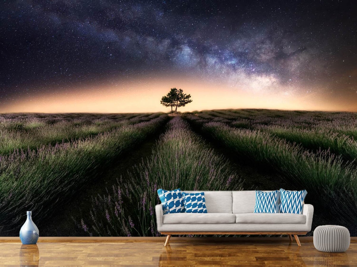 photo-wallpaper-lavender-way