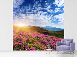 photo-wallpaper-flowery-mountain-landscape