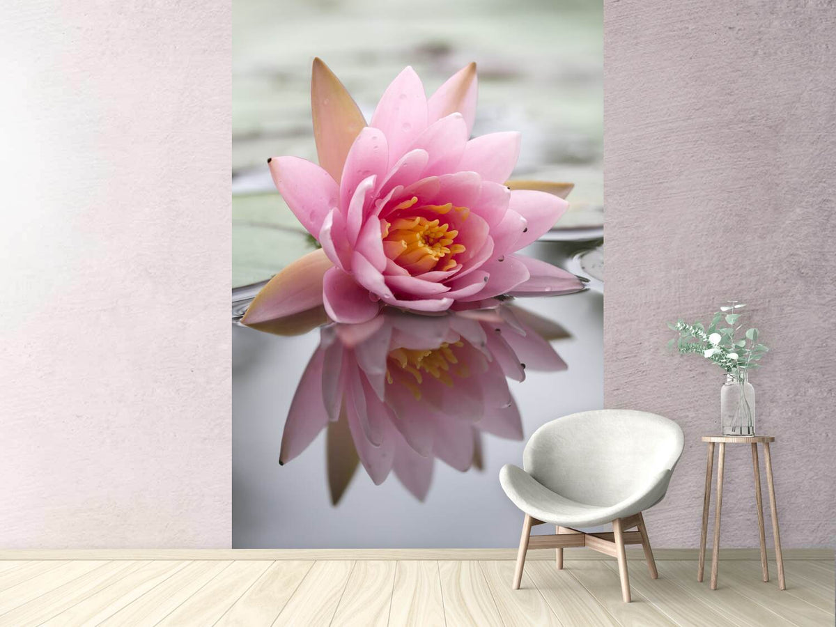 photo-wallpaper-lotus