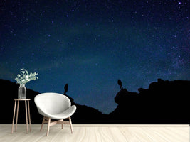 photo-wallpaper-the-stargazers