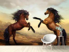 photo-wallpaper-two-wild-horses