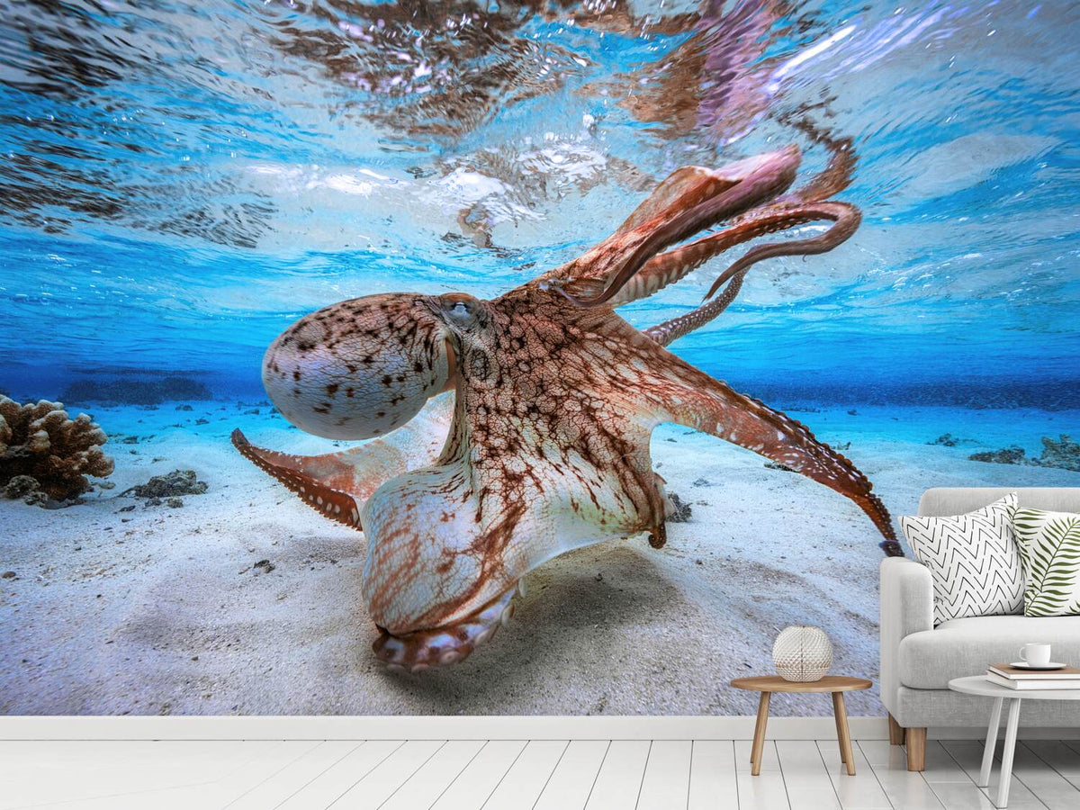 photo-wallpaper-dancing-octopus