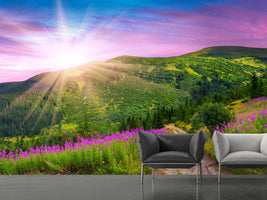 photo-wallpaper-a-summer-landscape-at-sunrise