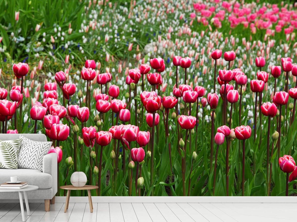 photo-wallpaper-wild-tulip-field