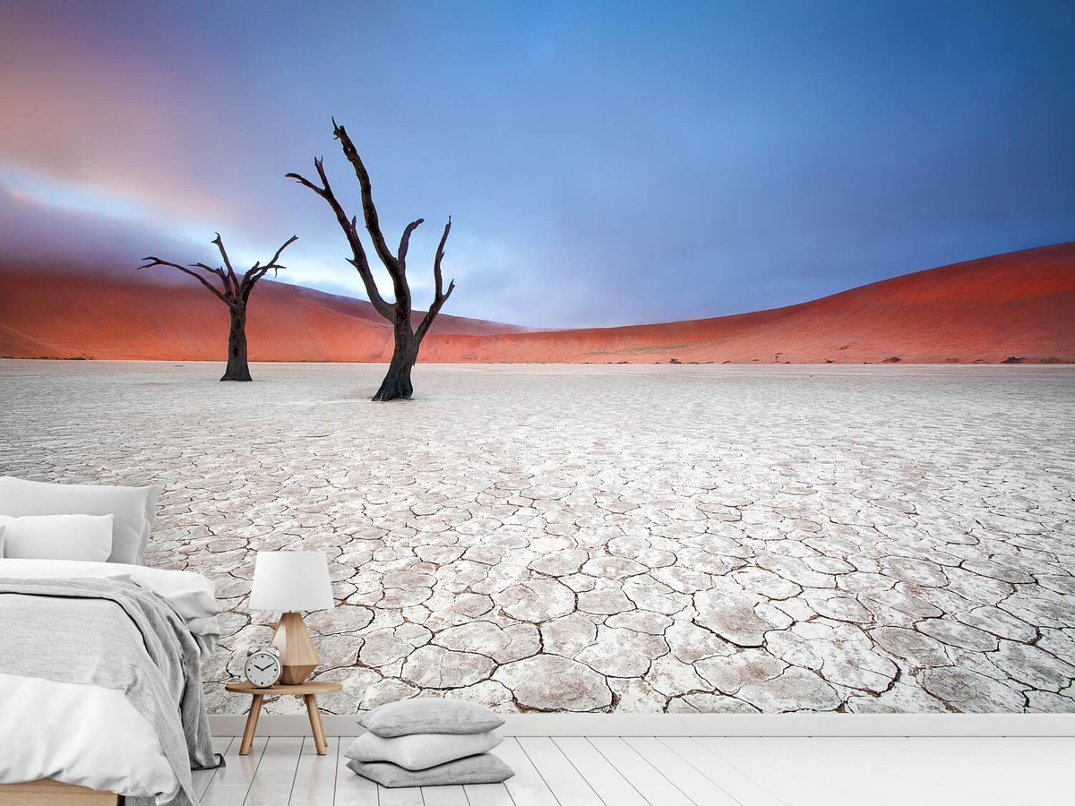 photo-wallpaper-mist-over-deadvlei-x