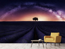 photo-wallpaper-my-lavander