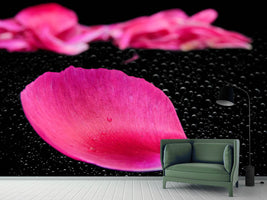 photo-wallpaper-the-petals