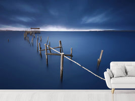 photo-wallpaper-carrasqueira-azul