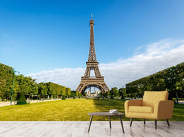 photo-wallpaper-the-eiffel-tower-in-paris