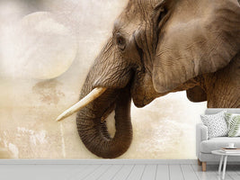 photo-wallpaper-portrait-of-an-elephant