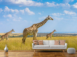 photo-wallpaper-trio-giraffes-x