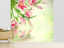 photo-wallpaper-lilies-on-water