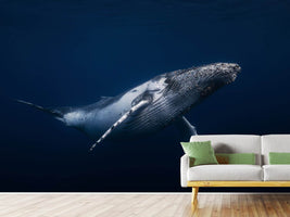 photo-wallpaper-humpback-whale-in-blue-x