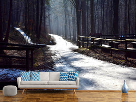 photo-wallpaper-a-path-in-the-snow